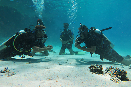 SSI open water diver